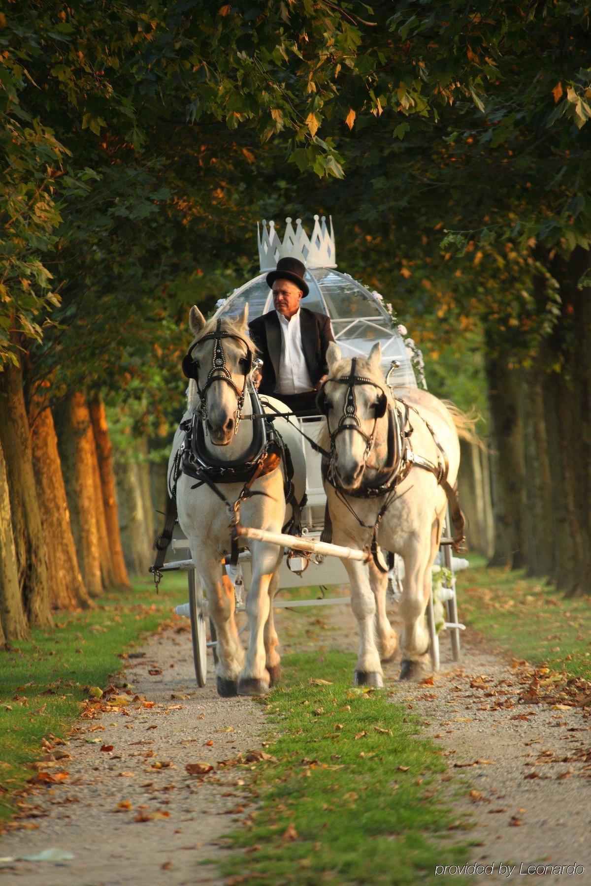Oheka Castle Hotel & Estate Huntington Esterno foto